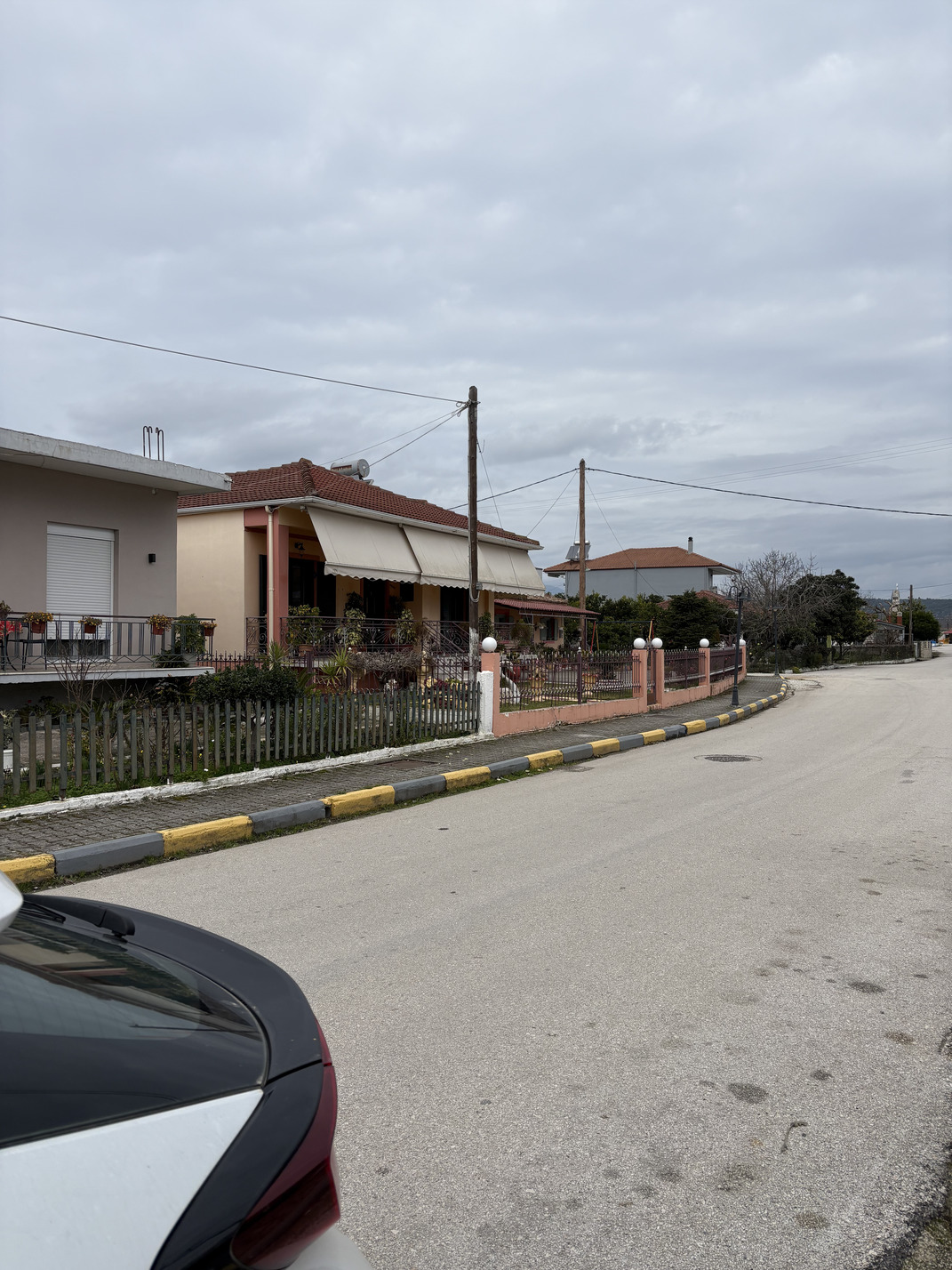 photo1