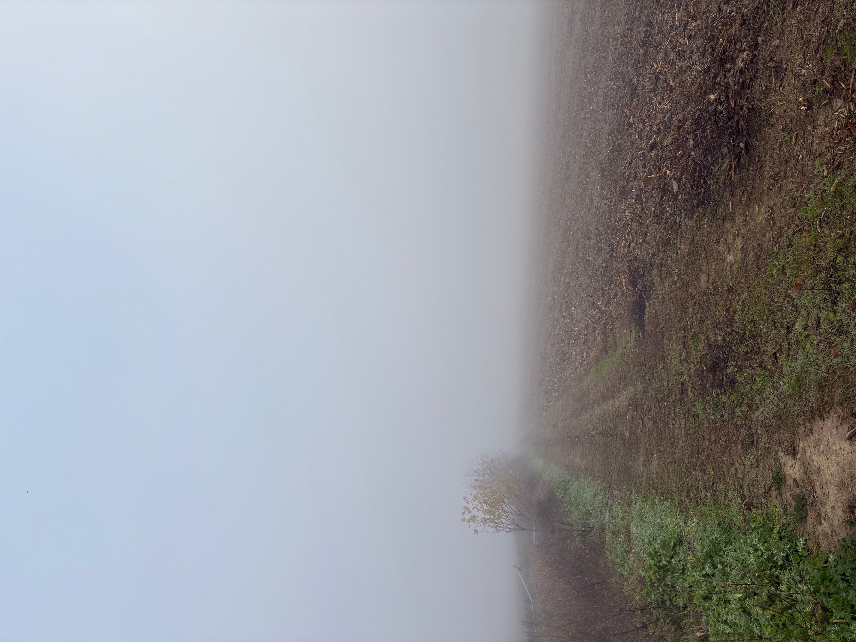 photo1