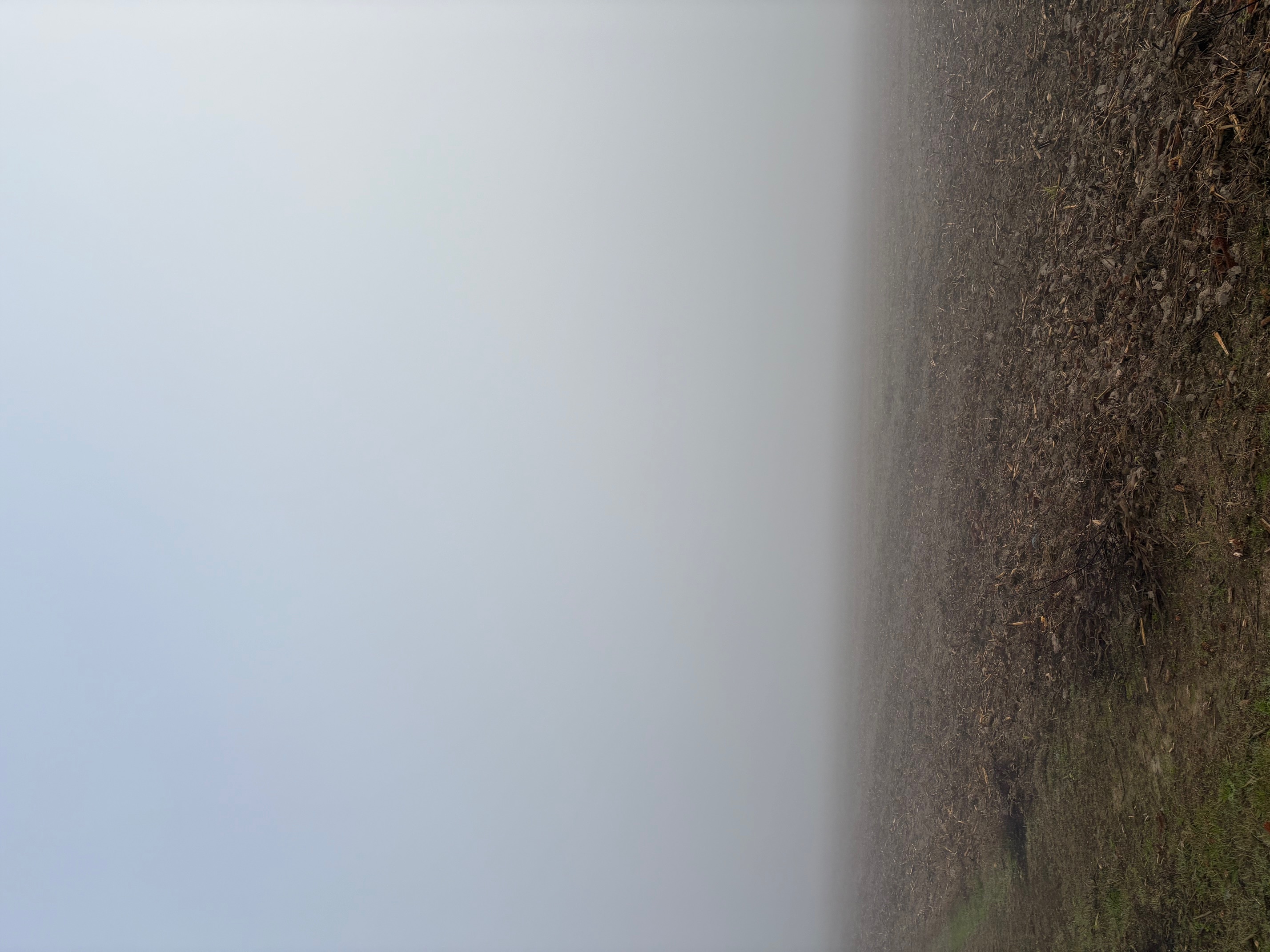 photo2