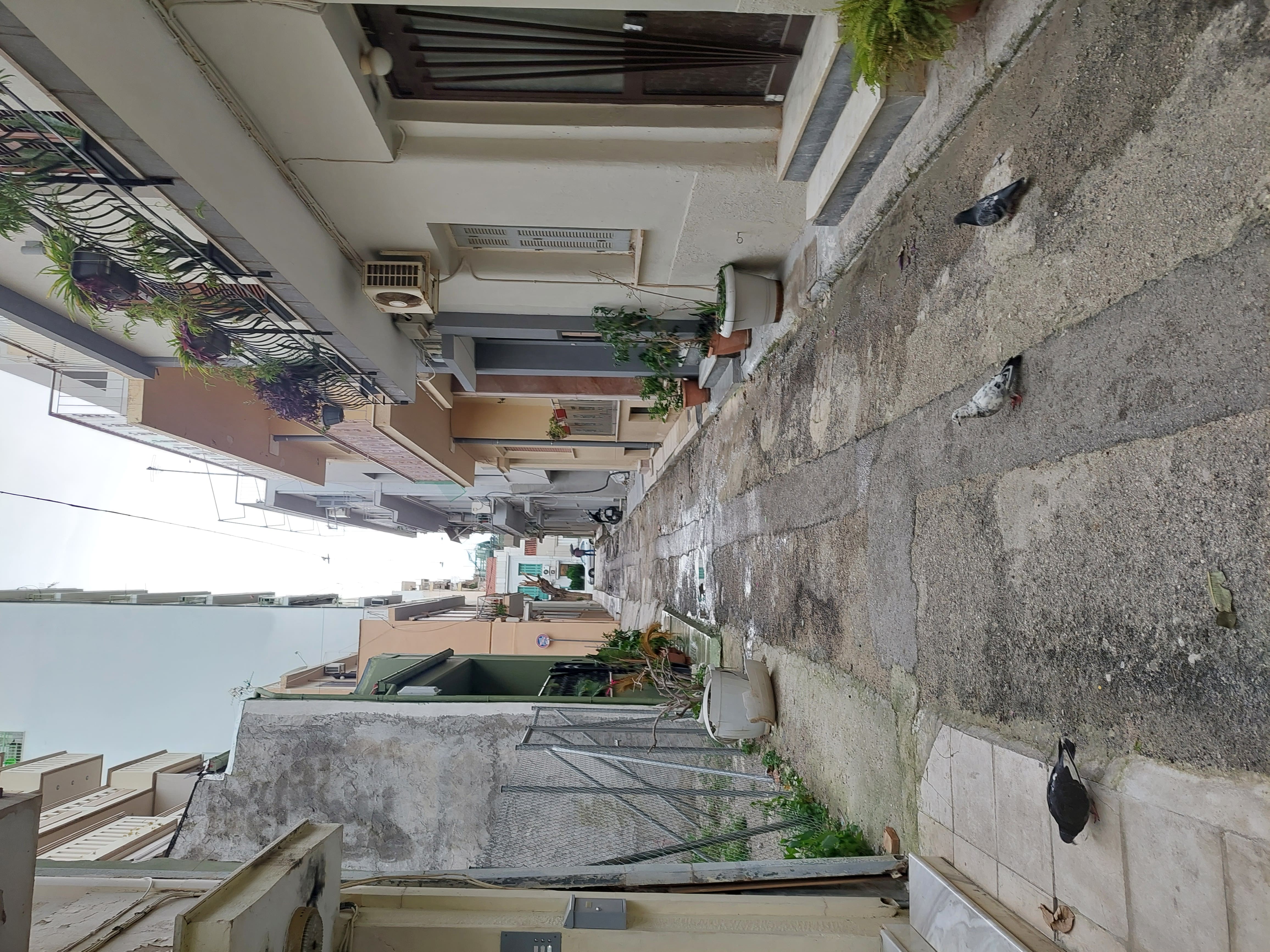 photo3