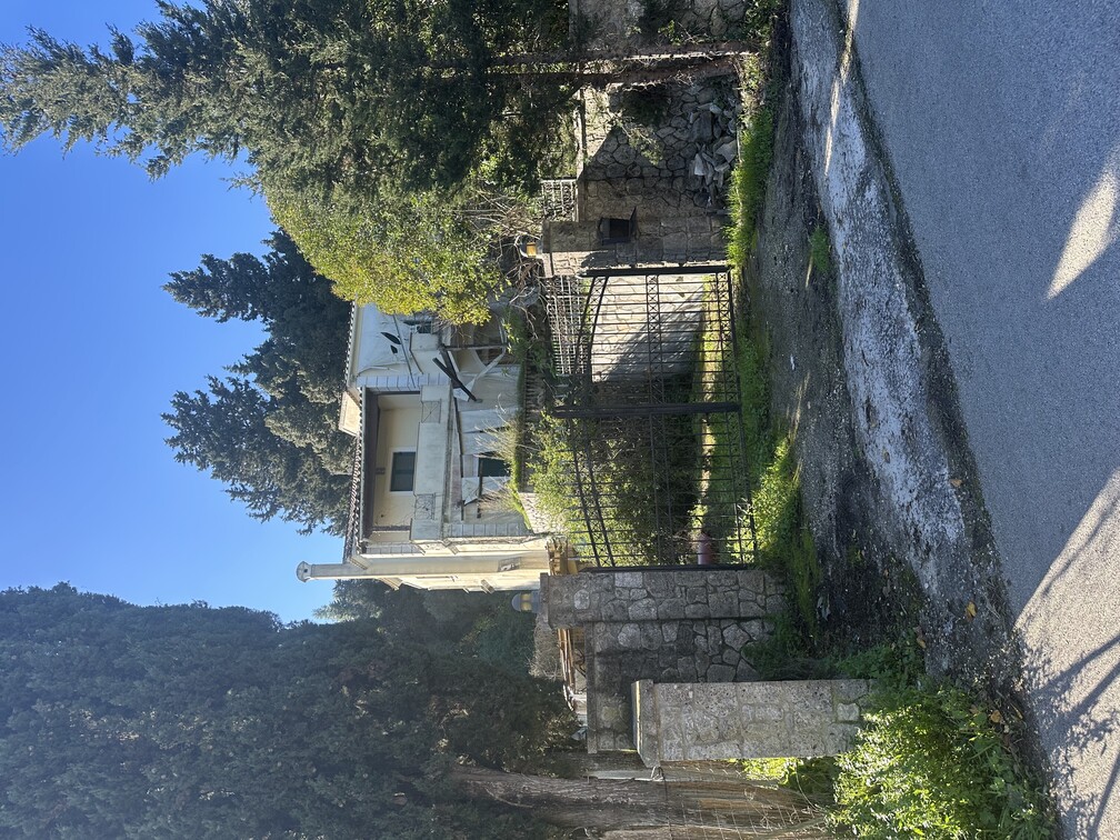 photo2