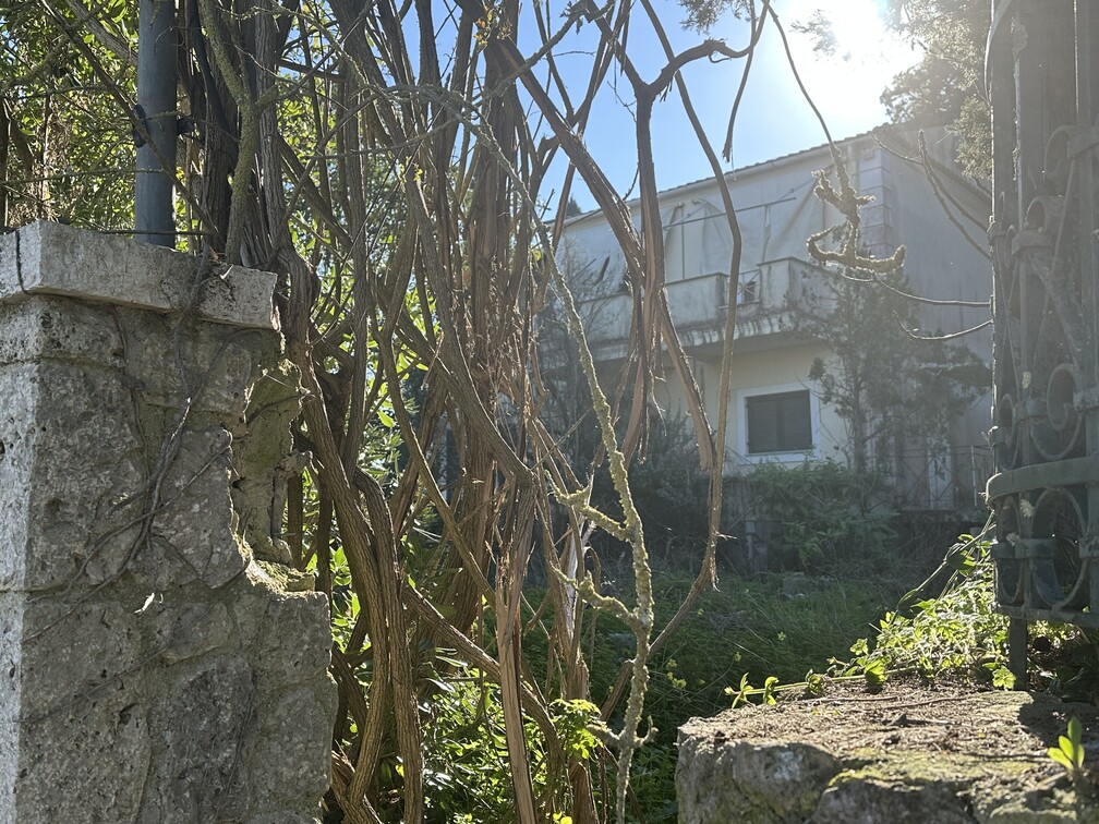 photo3