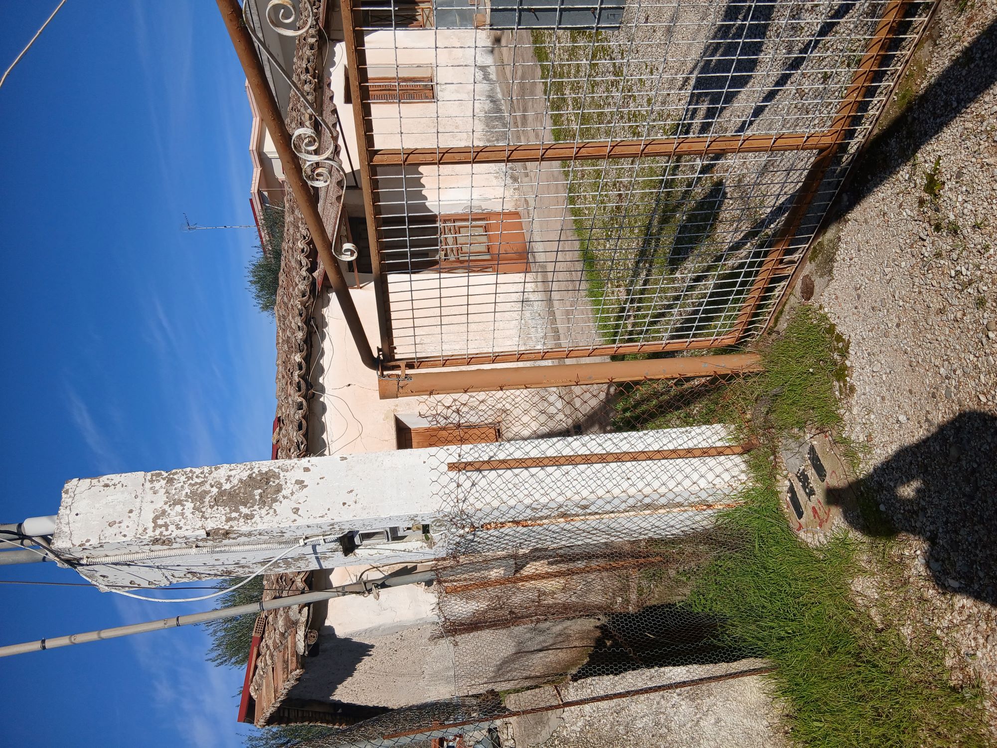 photo1