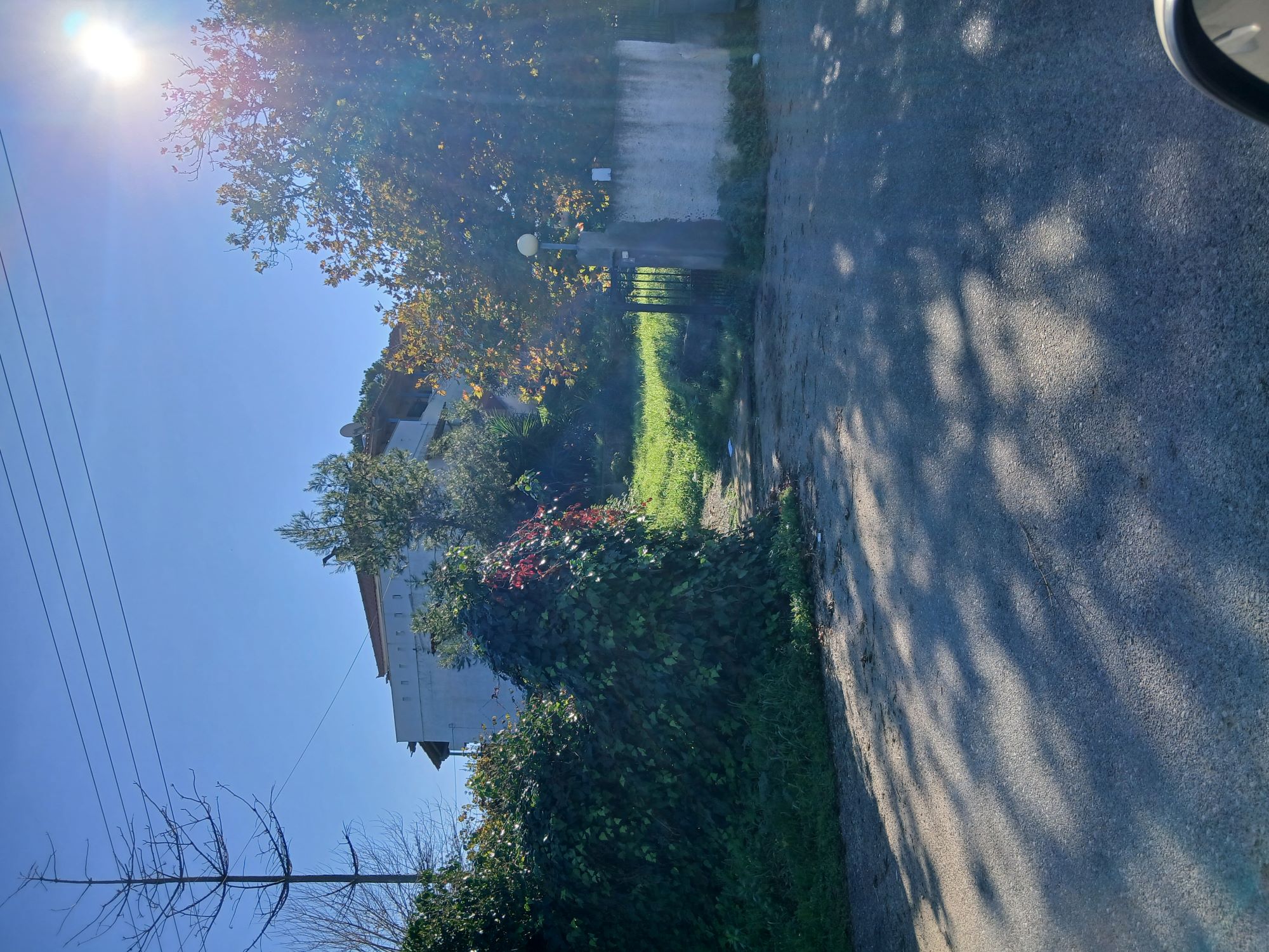 photo1