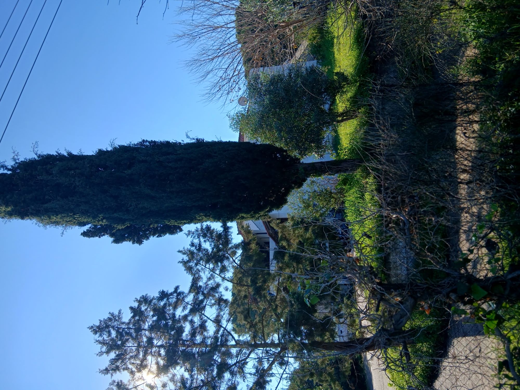 photo3