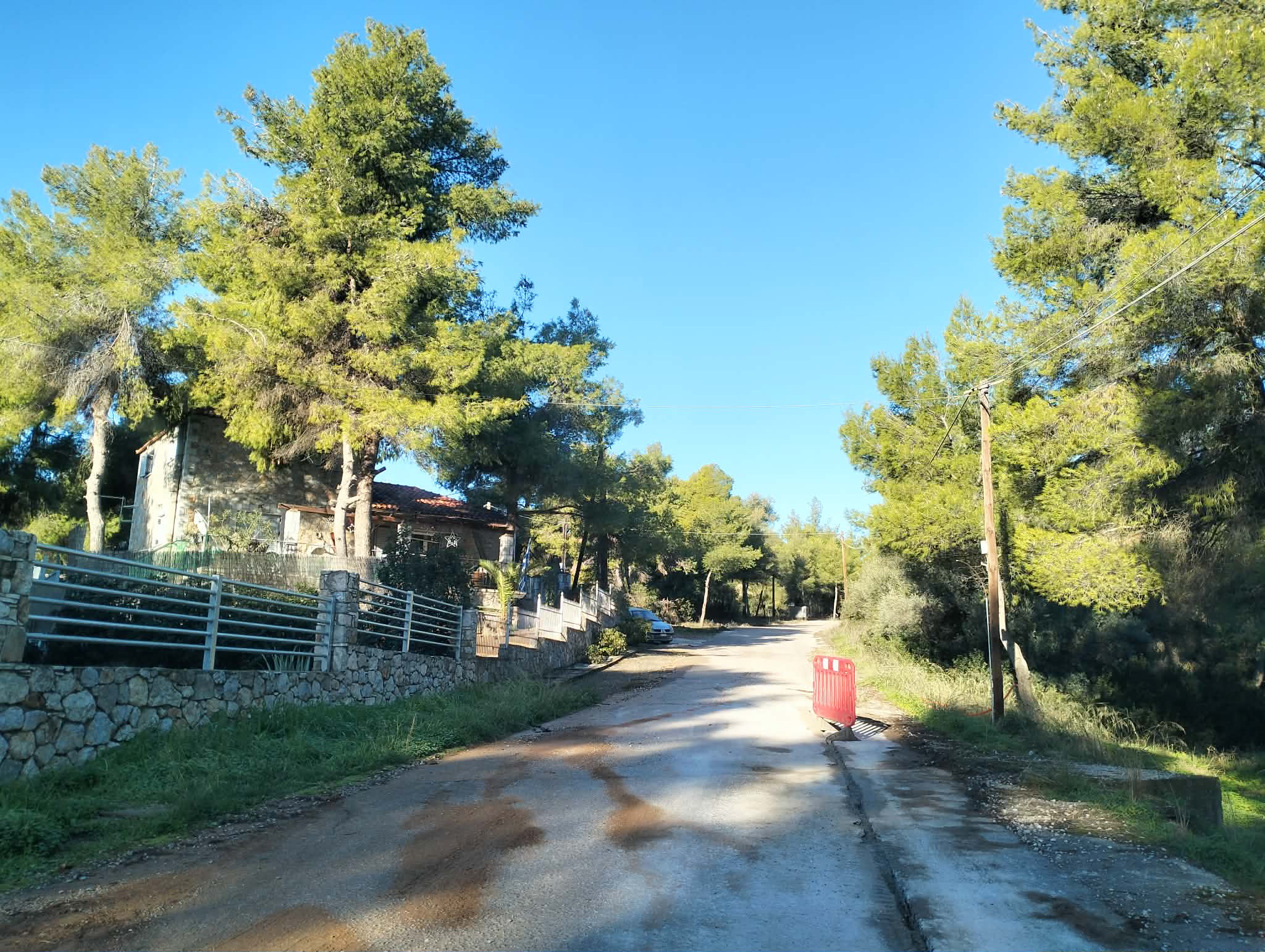 photo3