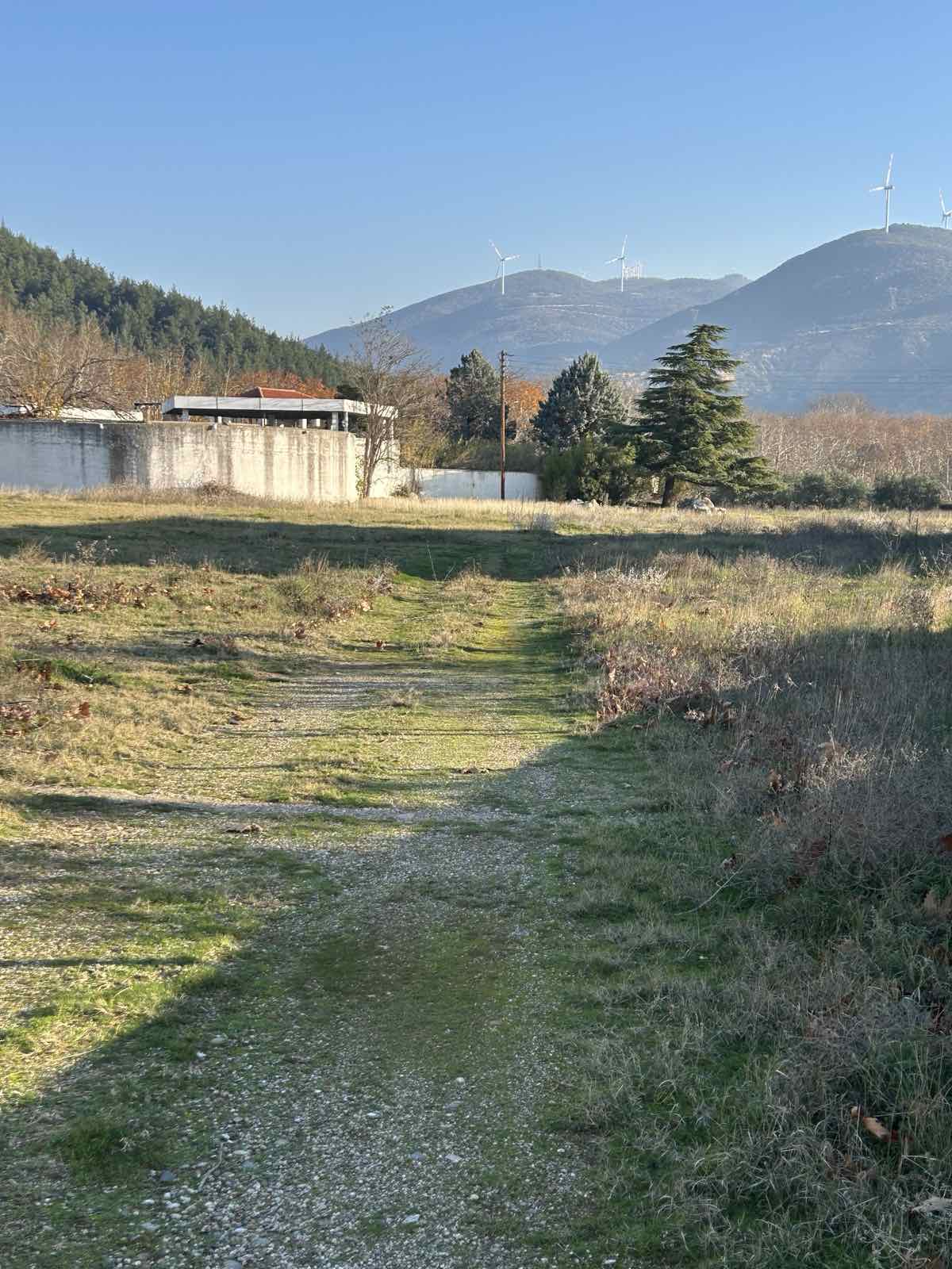 Αγροτεμάχιο 2000 τ.μ. σε πλειστηριασμό Δήμος Σιντικής