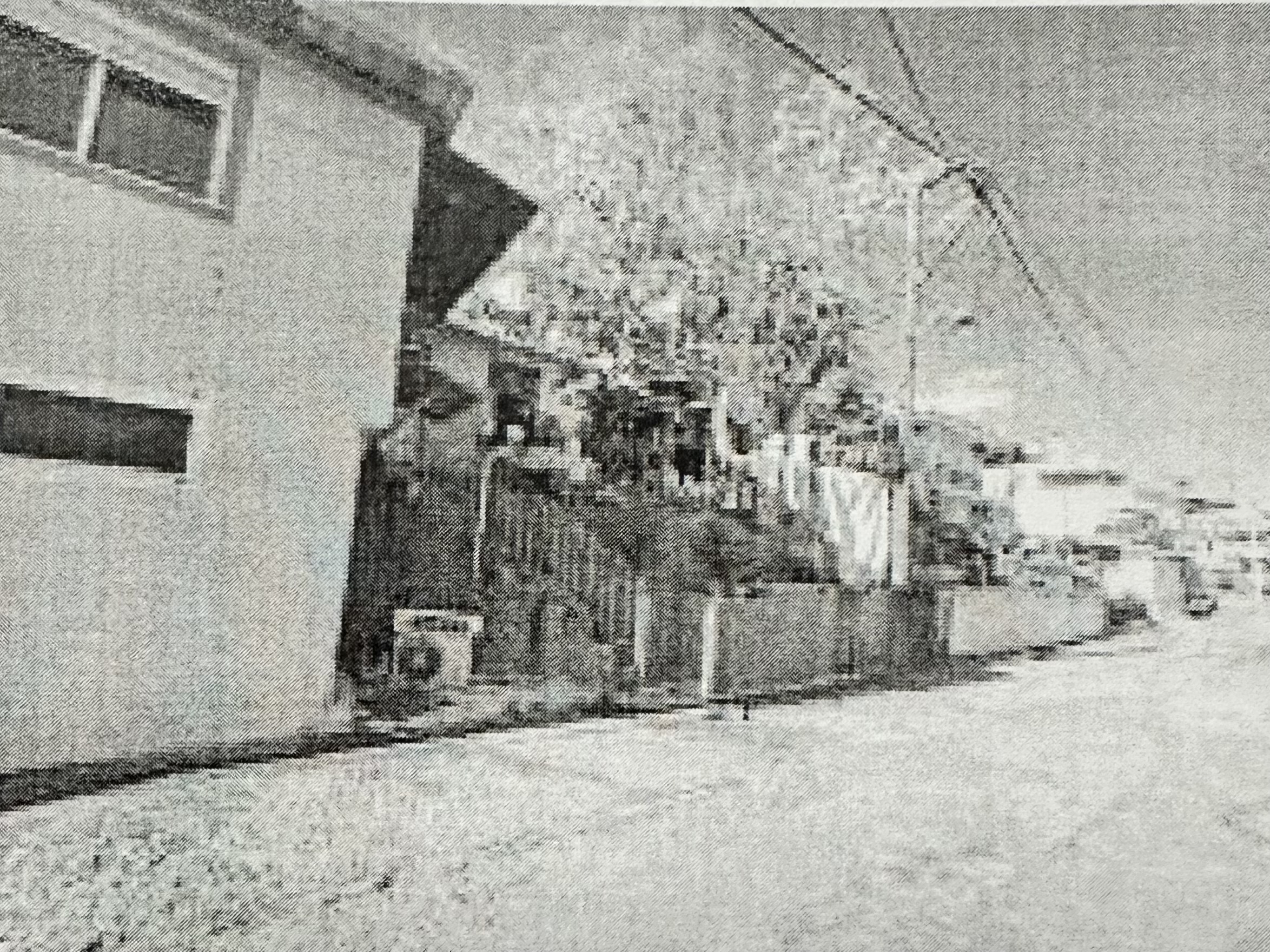 photo1