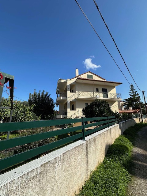 photo1