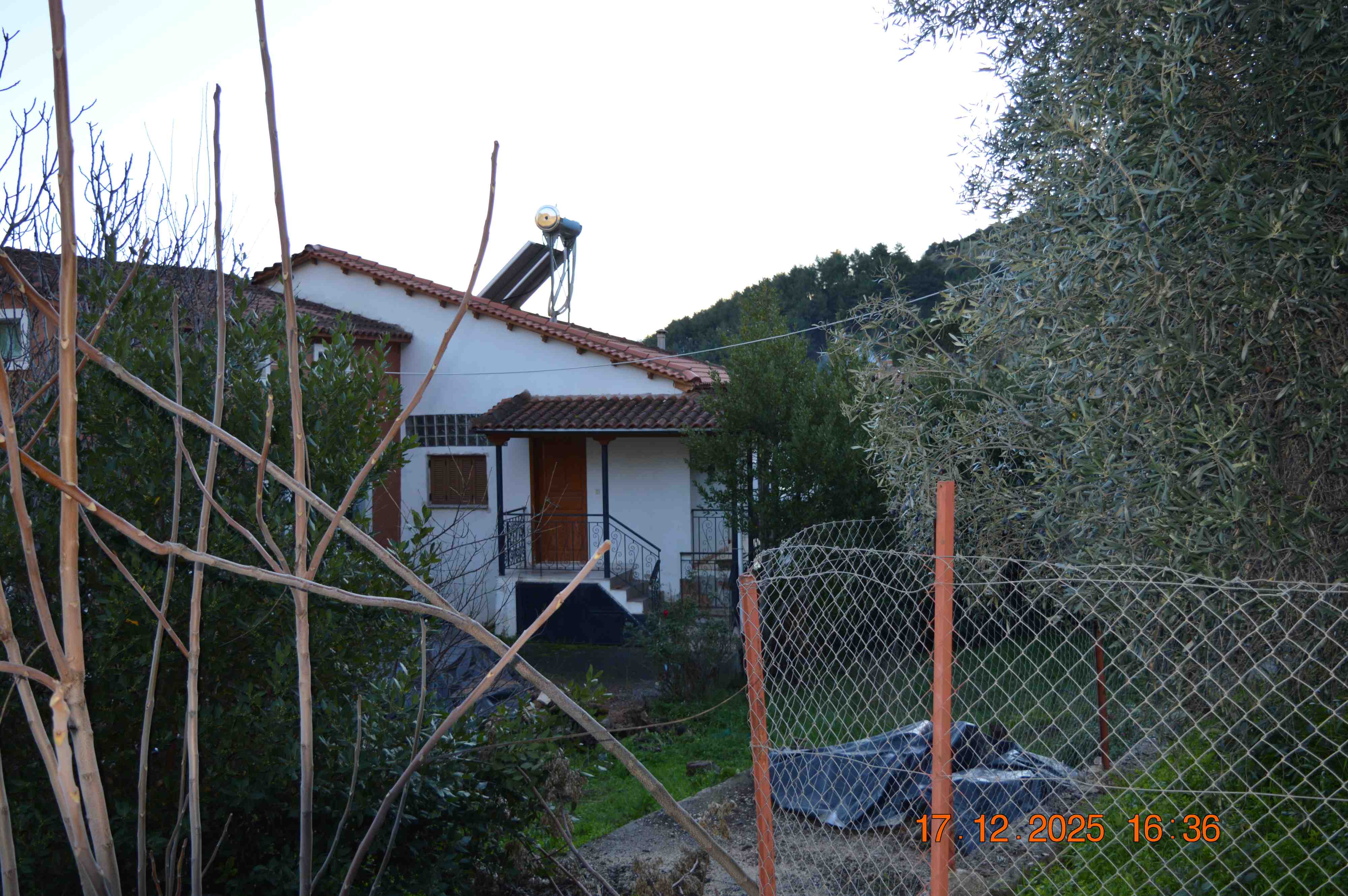 photo0