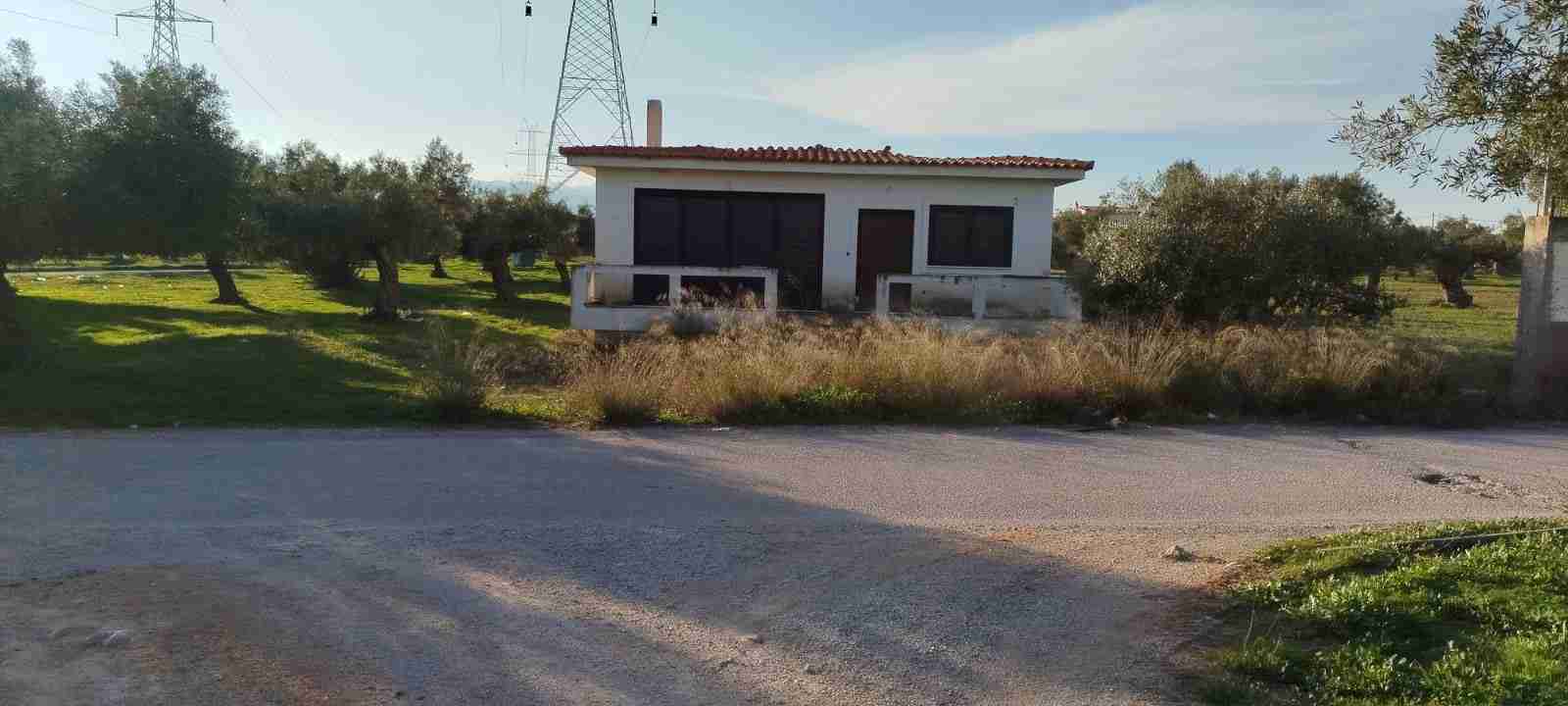 Κατοικία 118.80 τ.μ. σε πλειστηριασμό Δήμος Μεγαρέων
