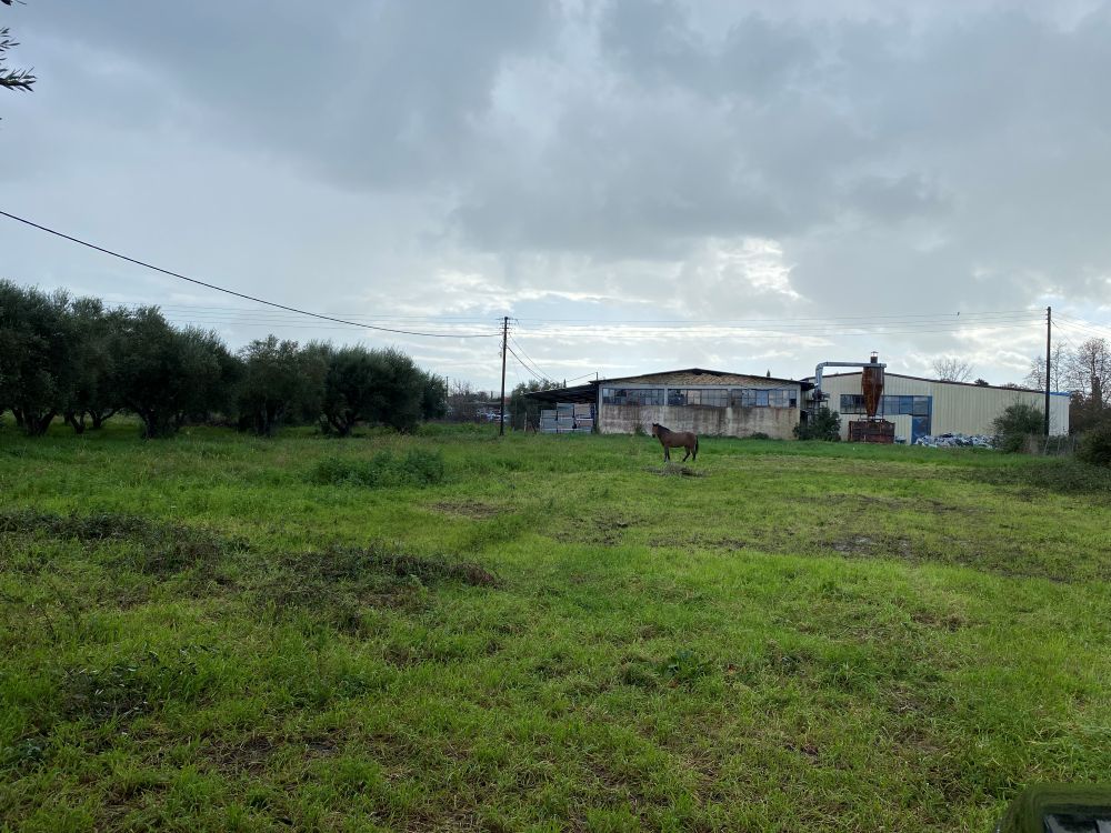 photo1
