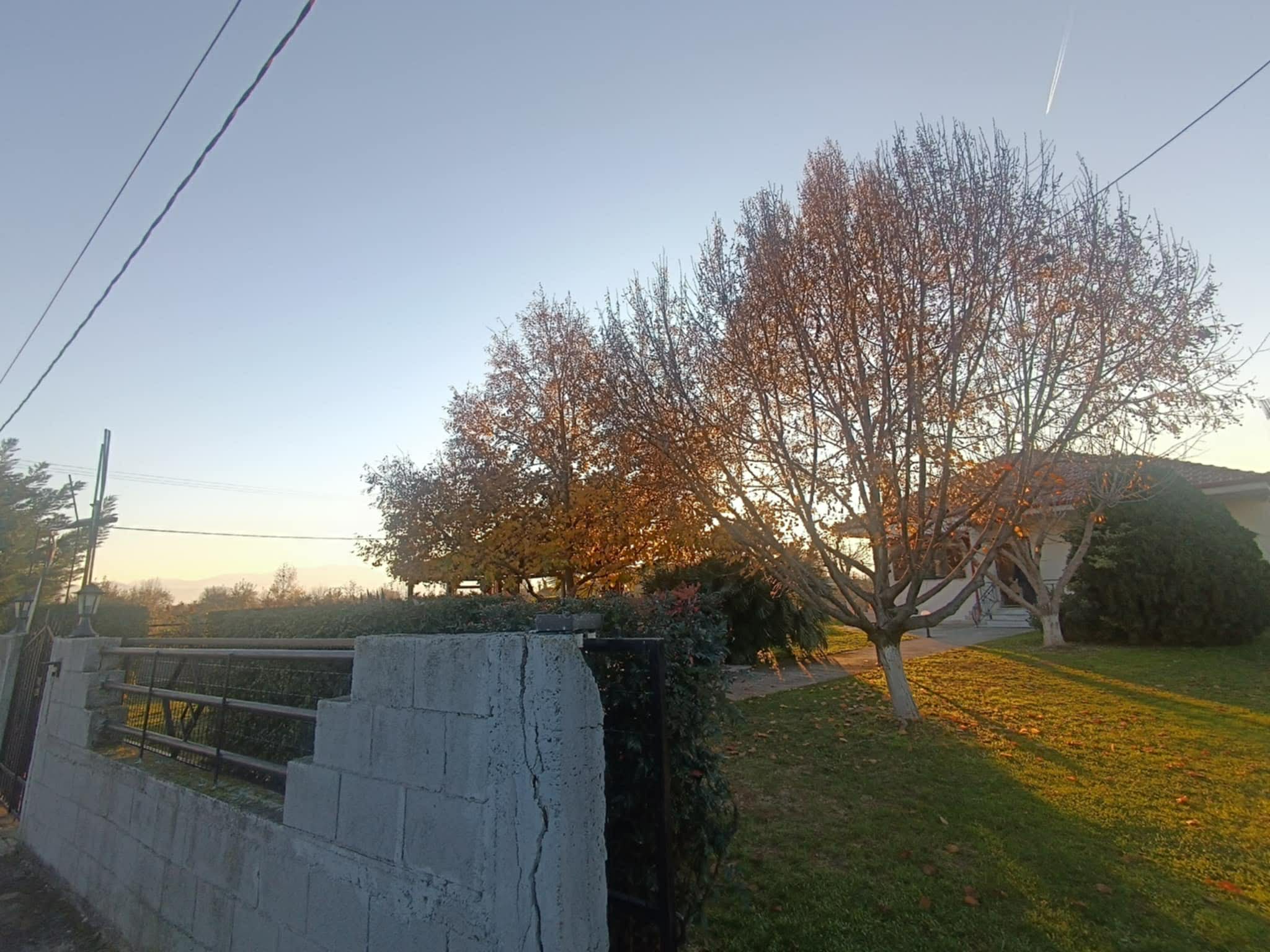photo1