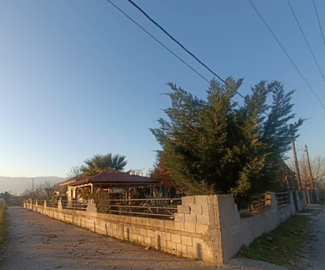photo2