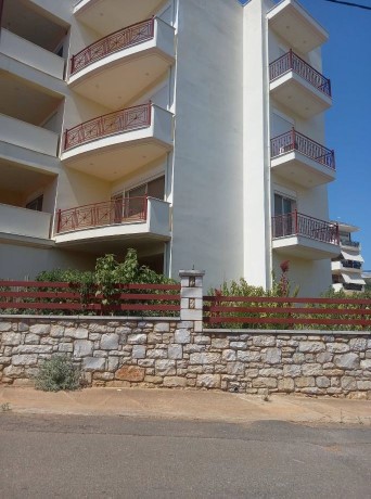 photo1