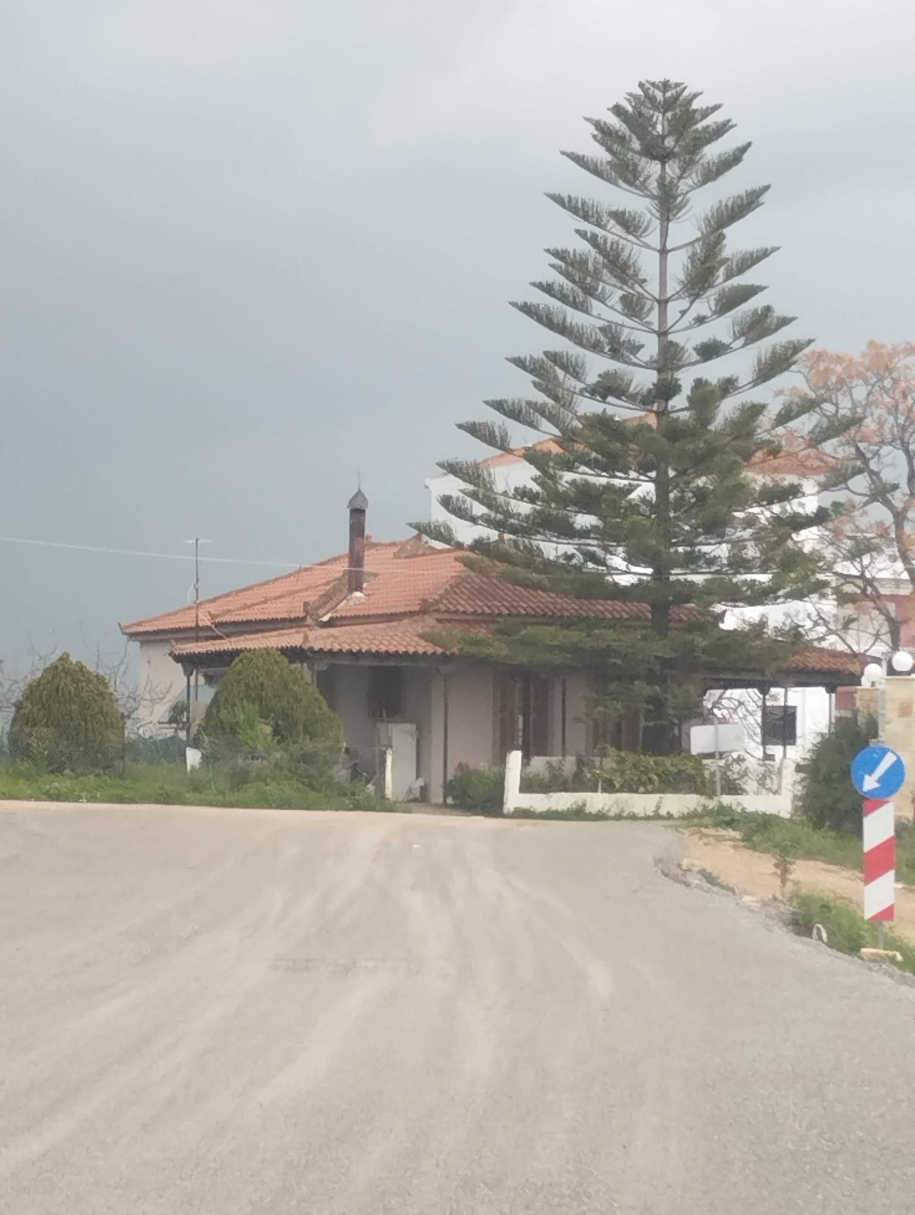 Οικόπεδο με κτίσμα  σε πλειστηριασμό Δήμος Μεσσήνης