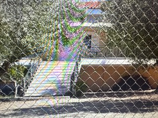photo1
