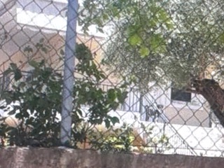 Οικόπεδο 4332.07 τ.μ. σε πλειστηριασμό Δήμος Καλαμάτας