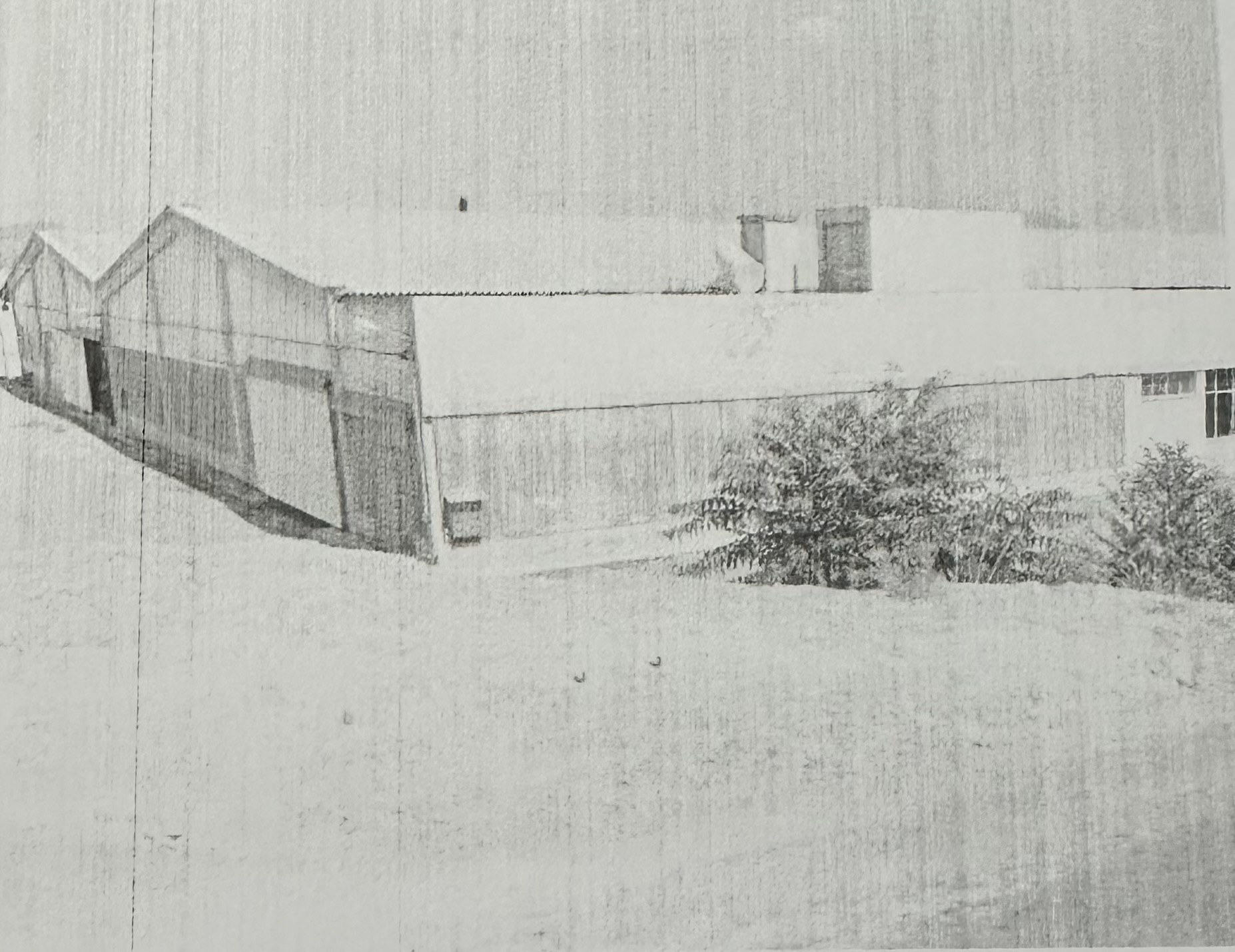 photo0