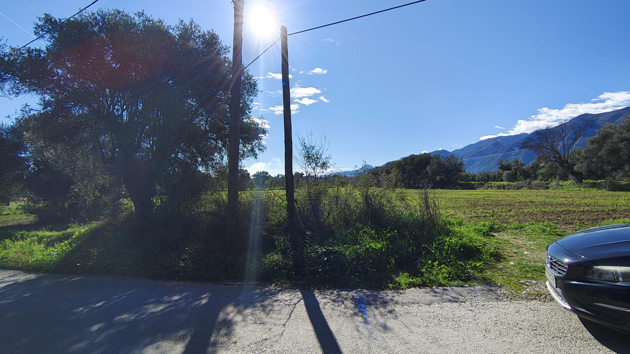 photo0