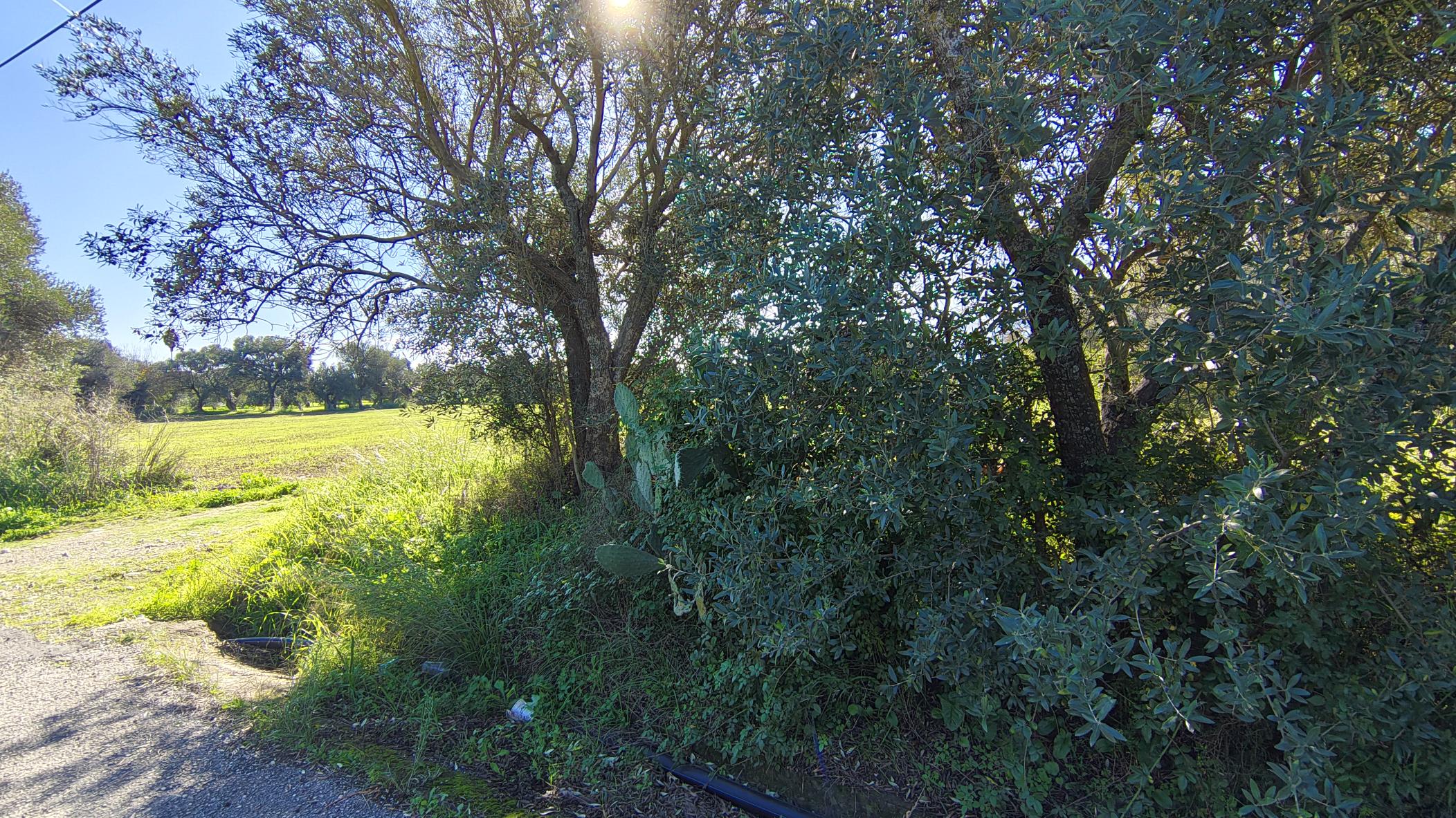 photo0
