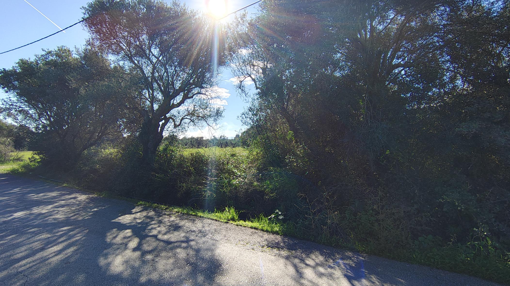 photo1