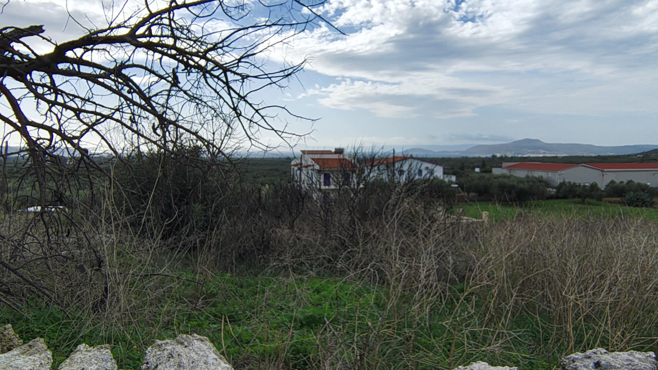 photo2