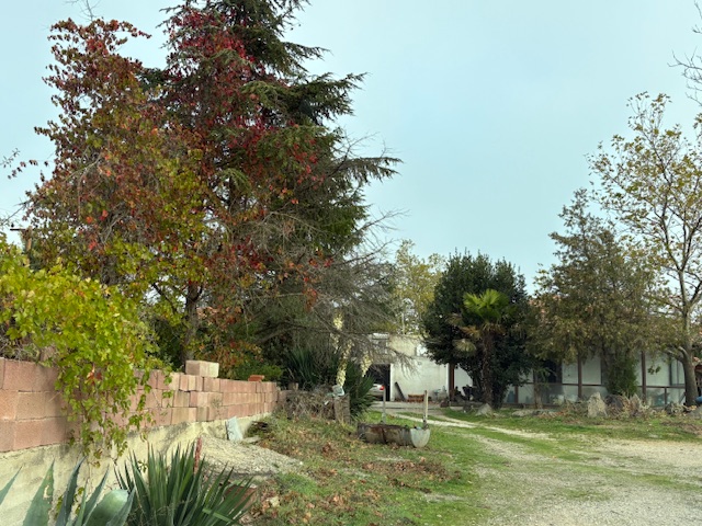 Αγροτεμάχιο με κτίσμα 3946 τ.μ. σε πλειστηριασμό Δήμος Αλεξανδρούπολης