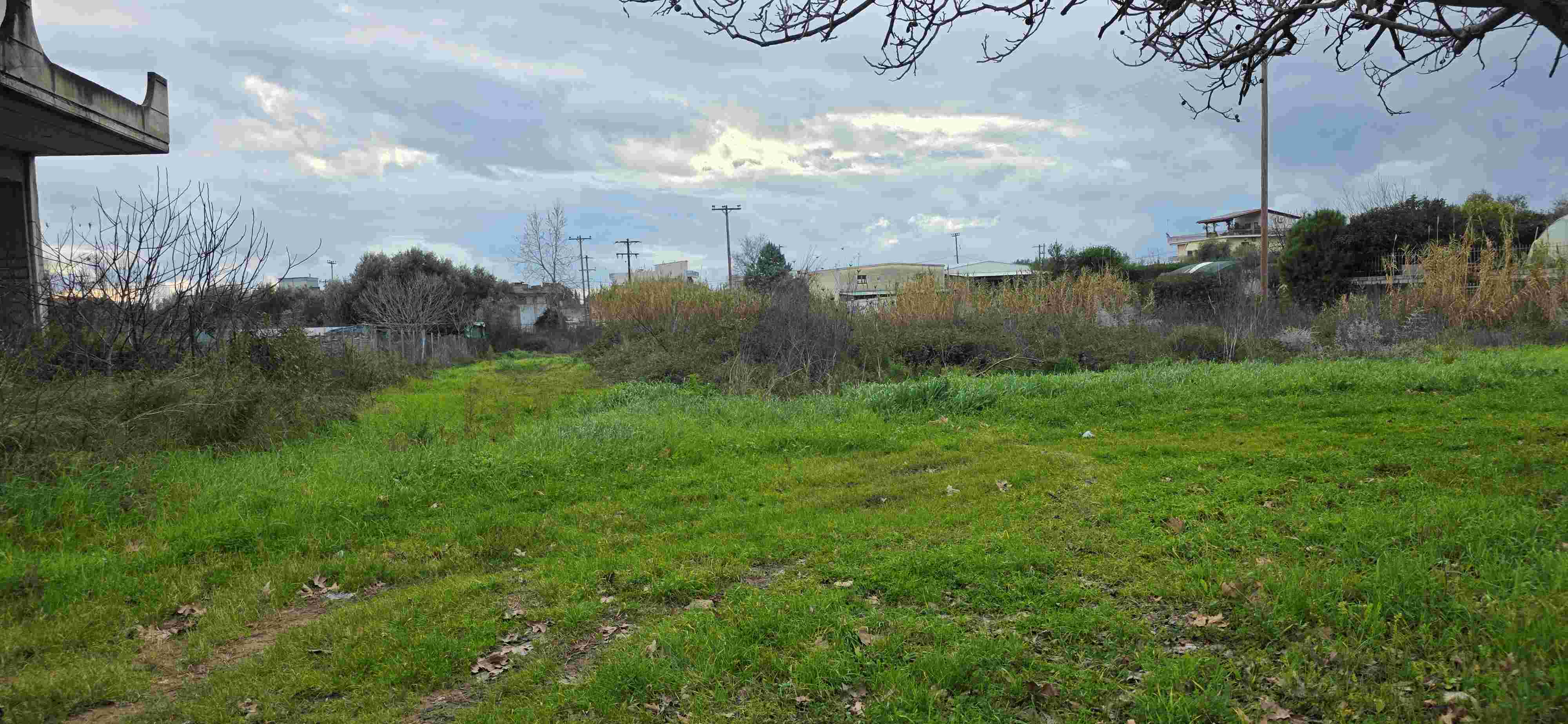 photo10