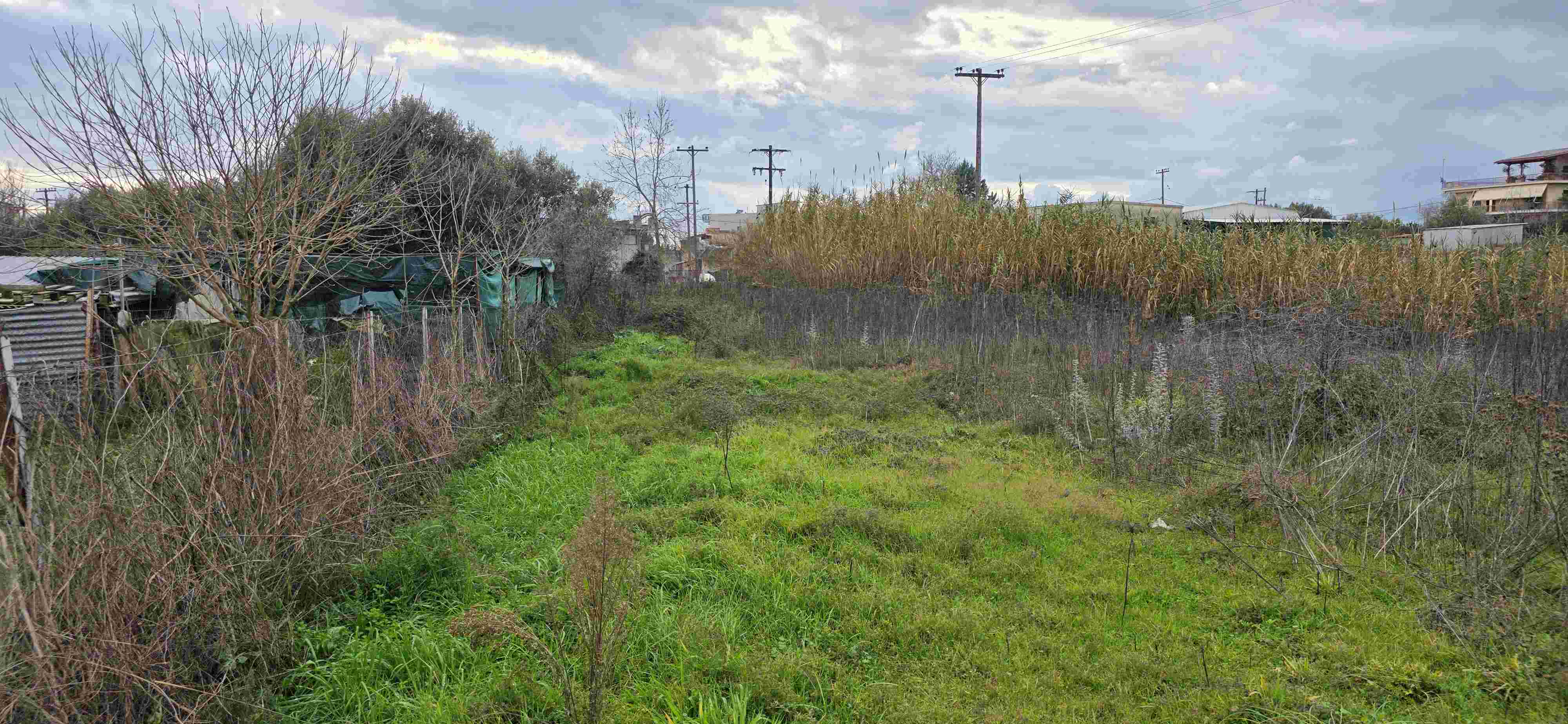 photo11