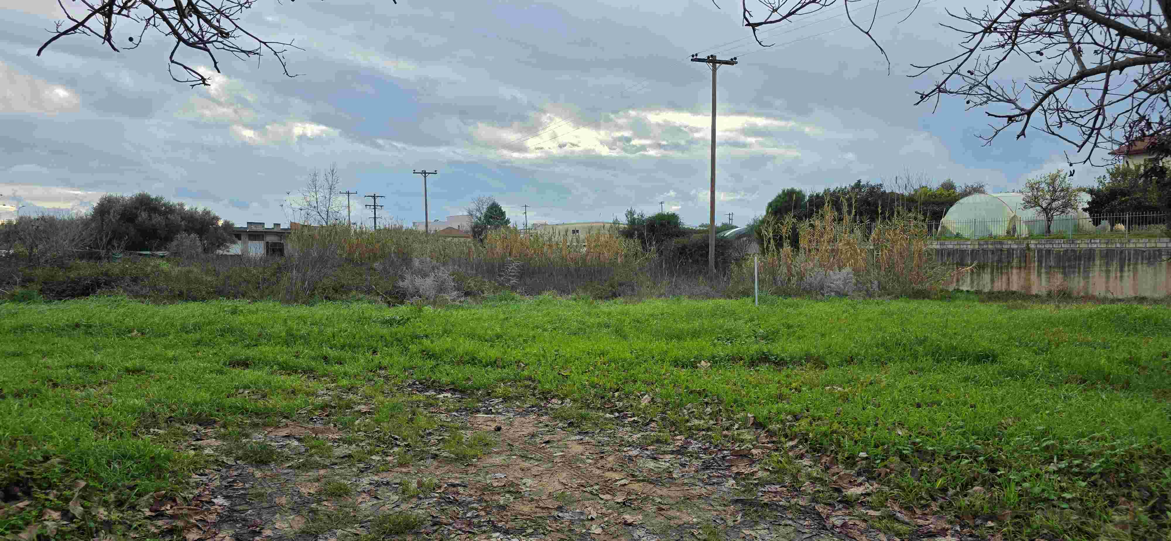 photo4