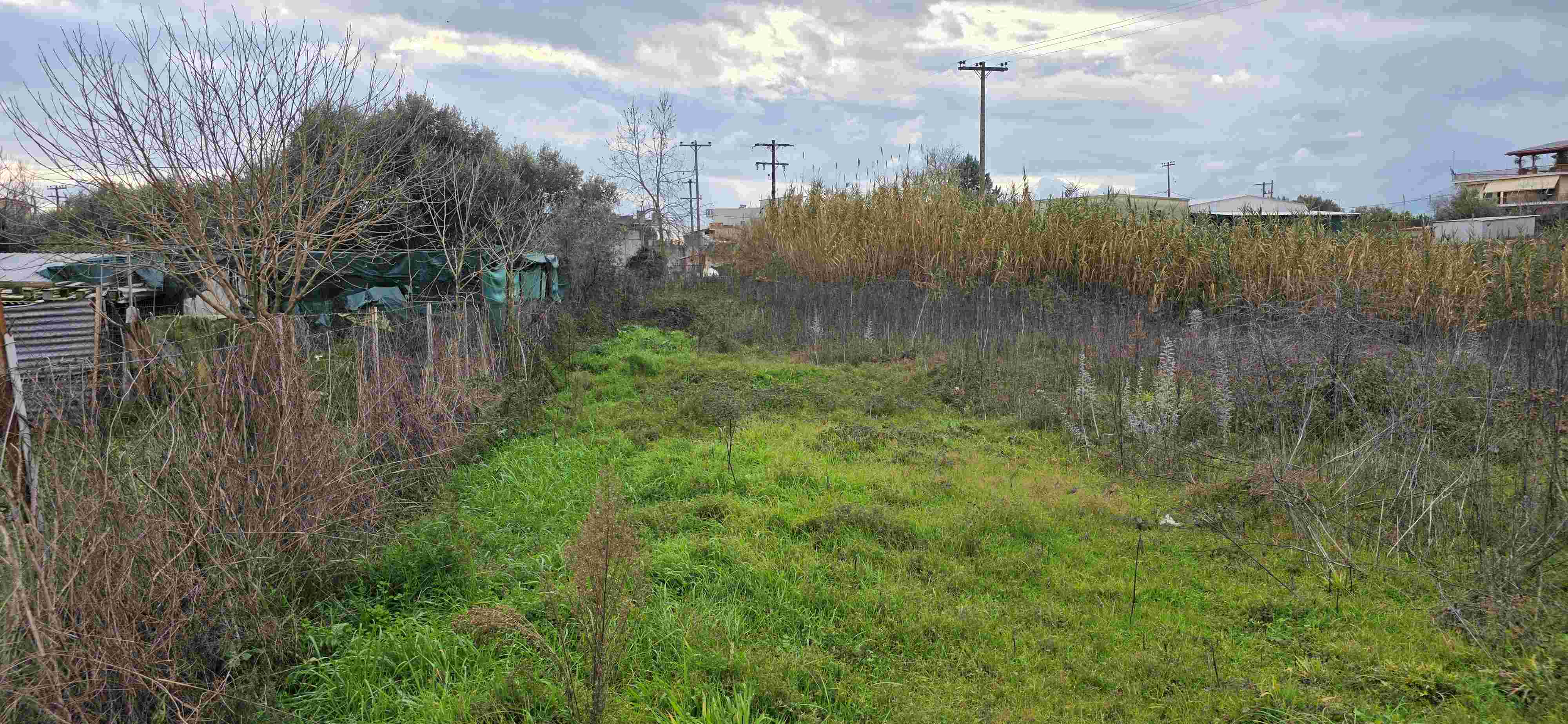 photo14