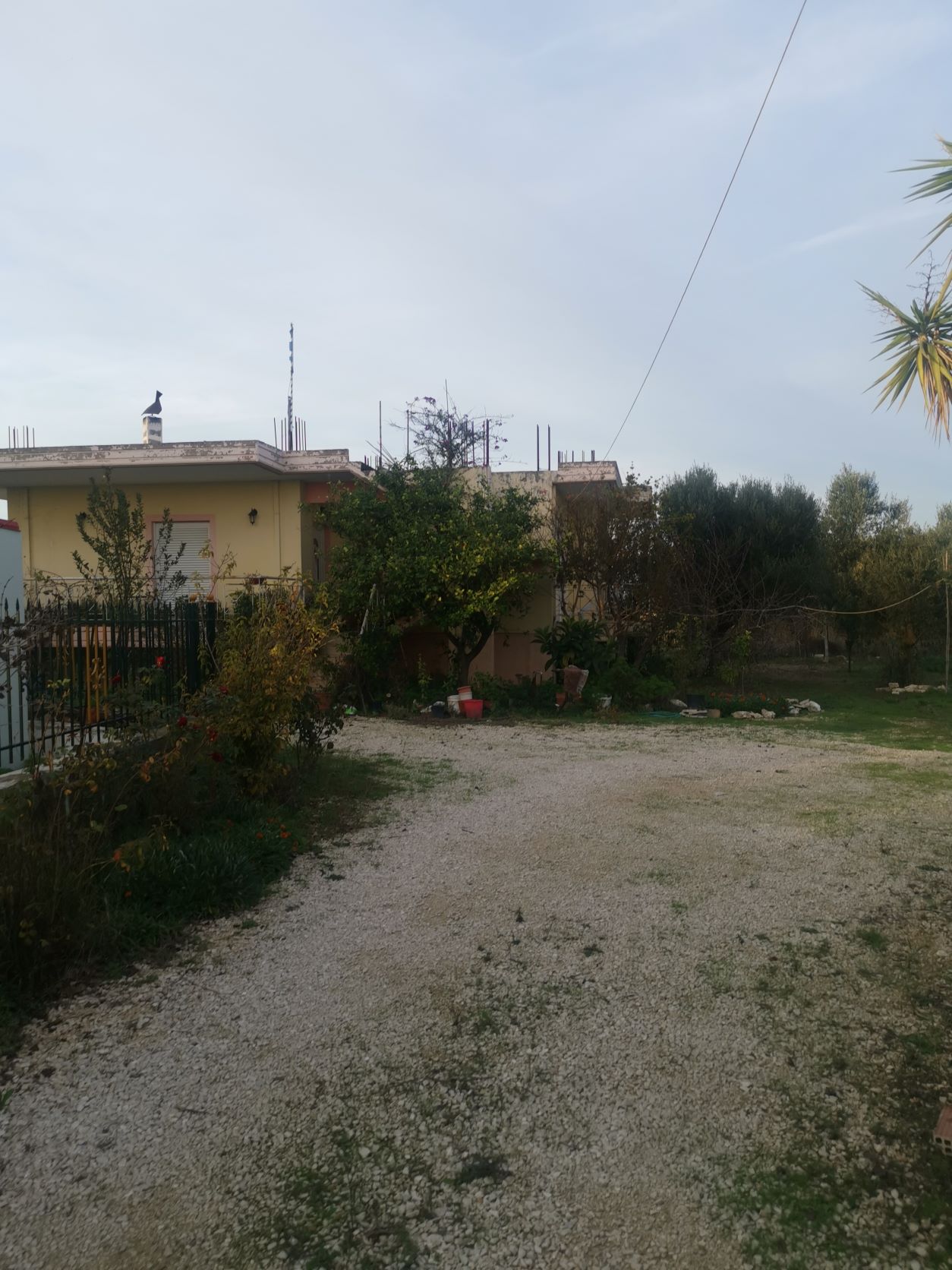 photo0