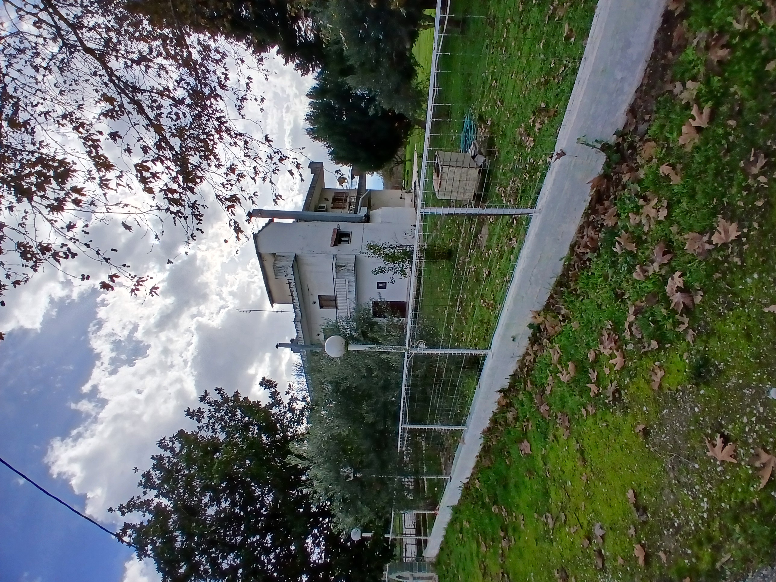 photo2
