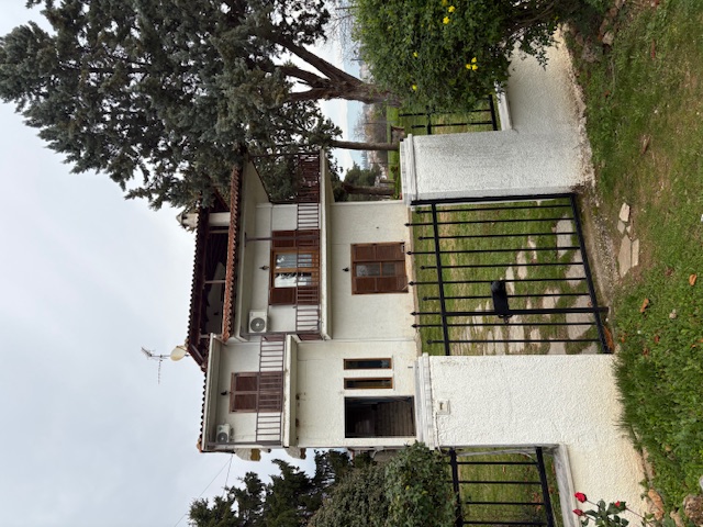 photo1
