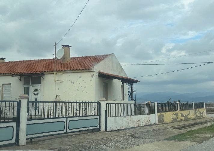 photo5