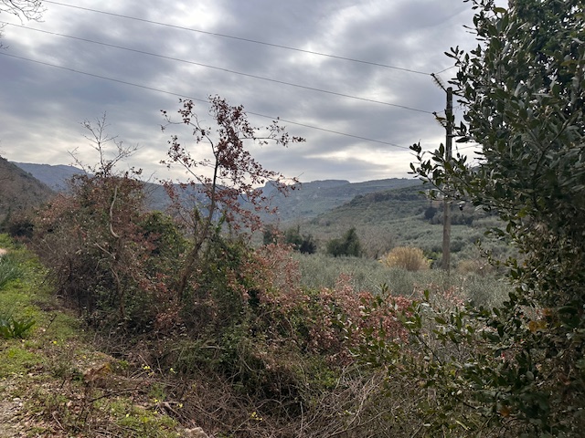photo1