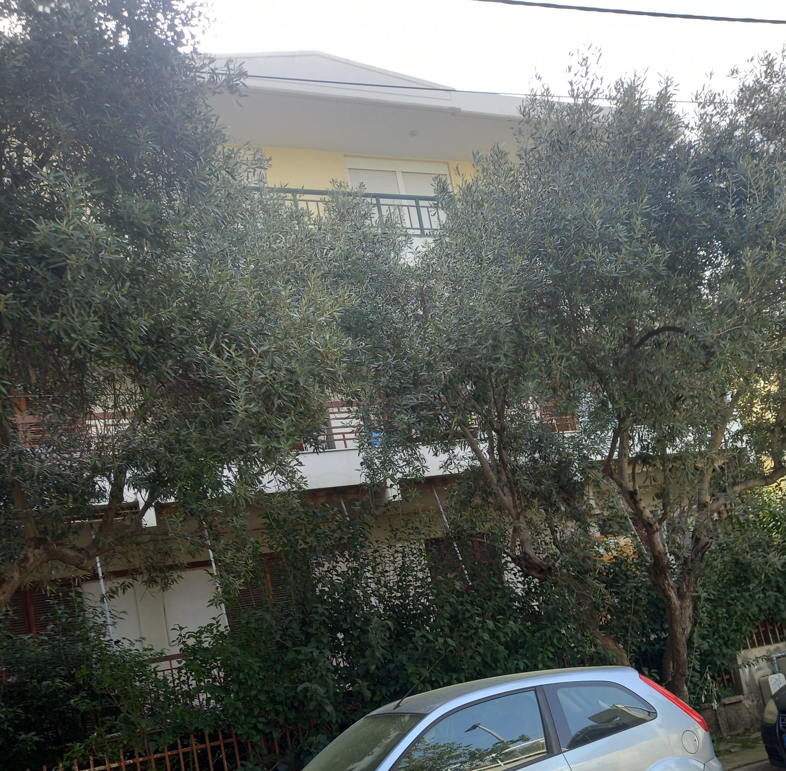 photo0