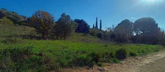 Αγροτεμάχιο 3209.43 τ.μ. σε πλειστηριασμό Δήμος Σπάτων - Αρτέμιδος