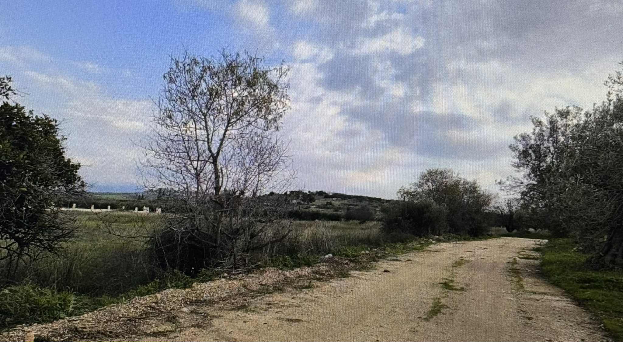 photo0