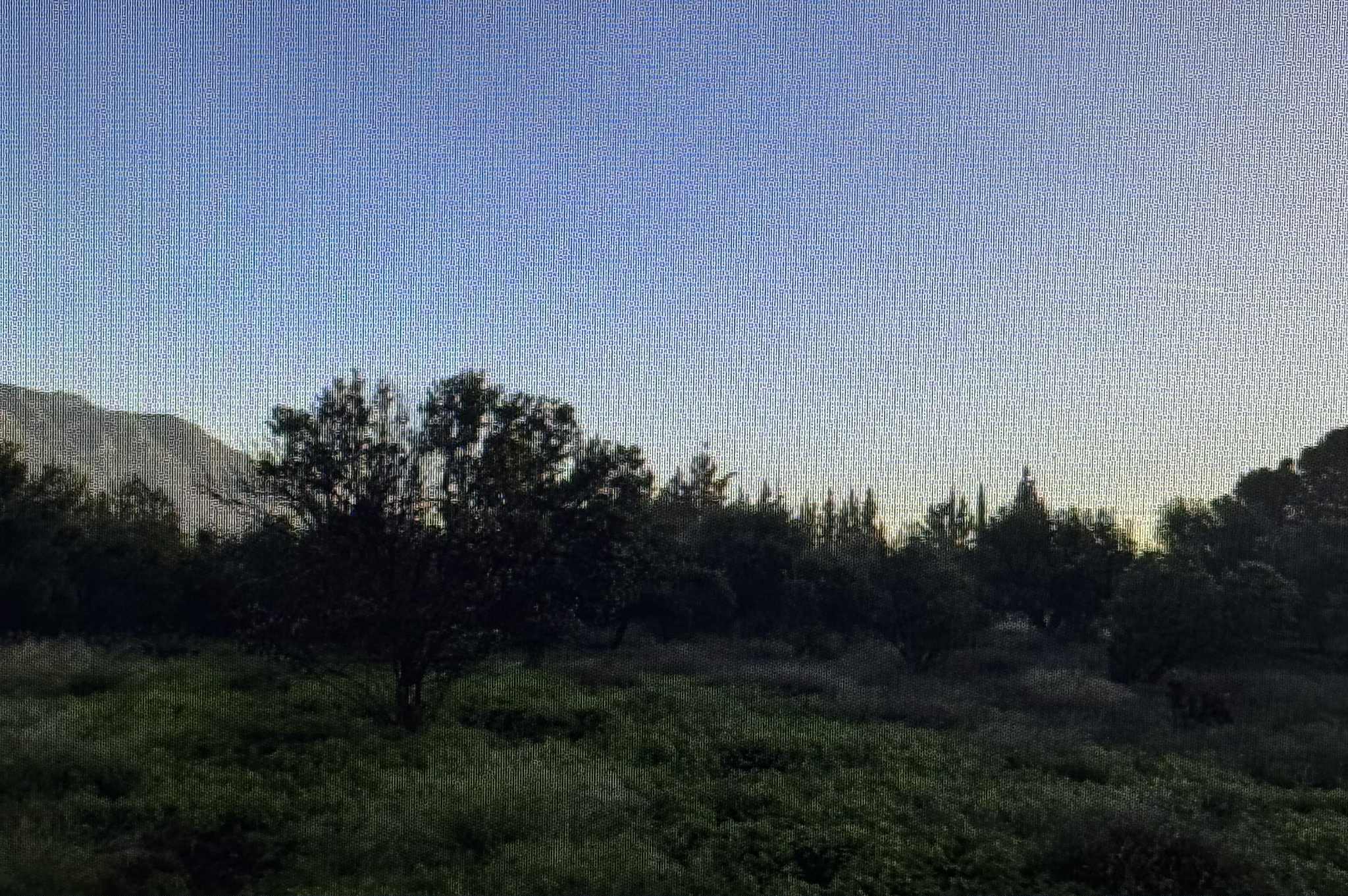 Αγροτεμάχιο 2296.22 τ.μ. σε πλειστηριασμό Δήμος Λουτρακίου - Περαχώρας - Αγ. Θεοδώρων