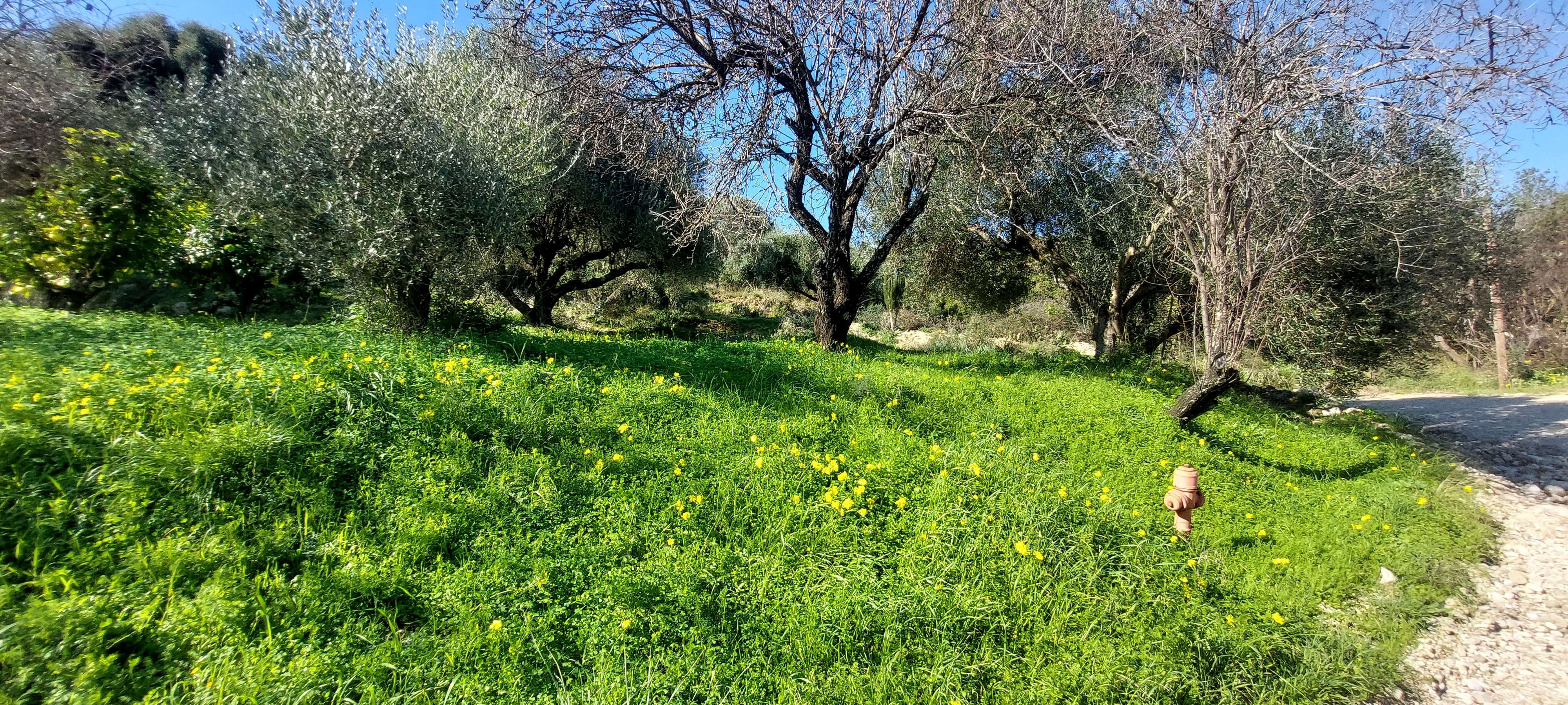 photo3