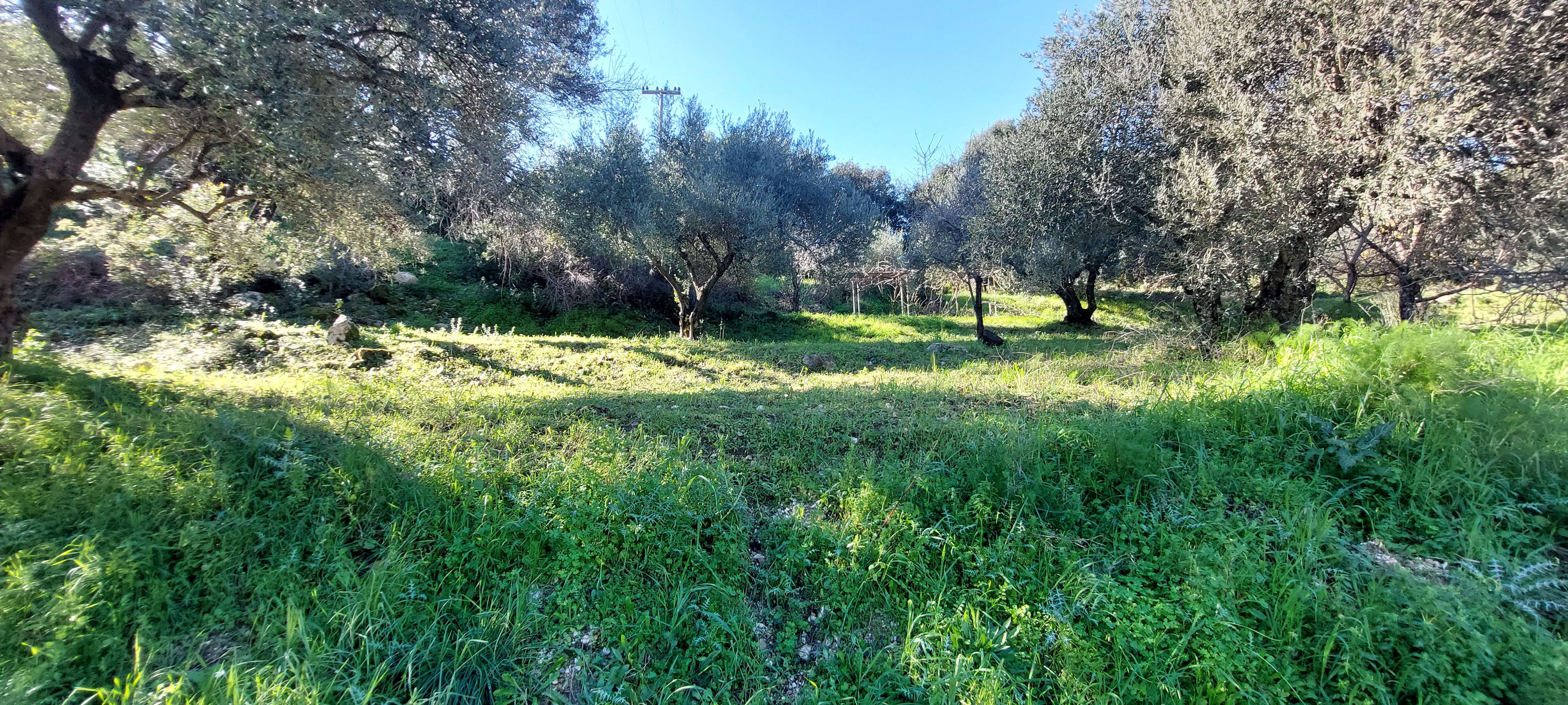 Οικόπεδο 2206.62 τ.μ. σε πλειστηριασμό Δήμος Κεφαλονιάς