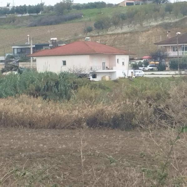 Οικόπεδο με κτίσμα 2970 τ.μ. σε πλειστηριασμό Δήμος Νέας Ζίχνης