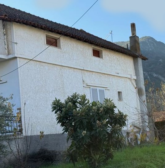 photo1