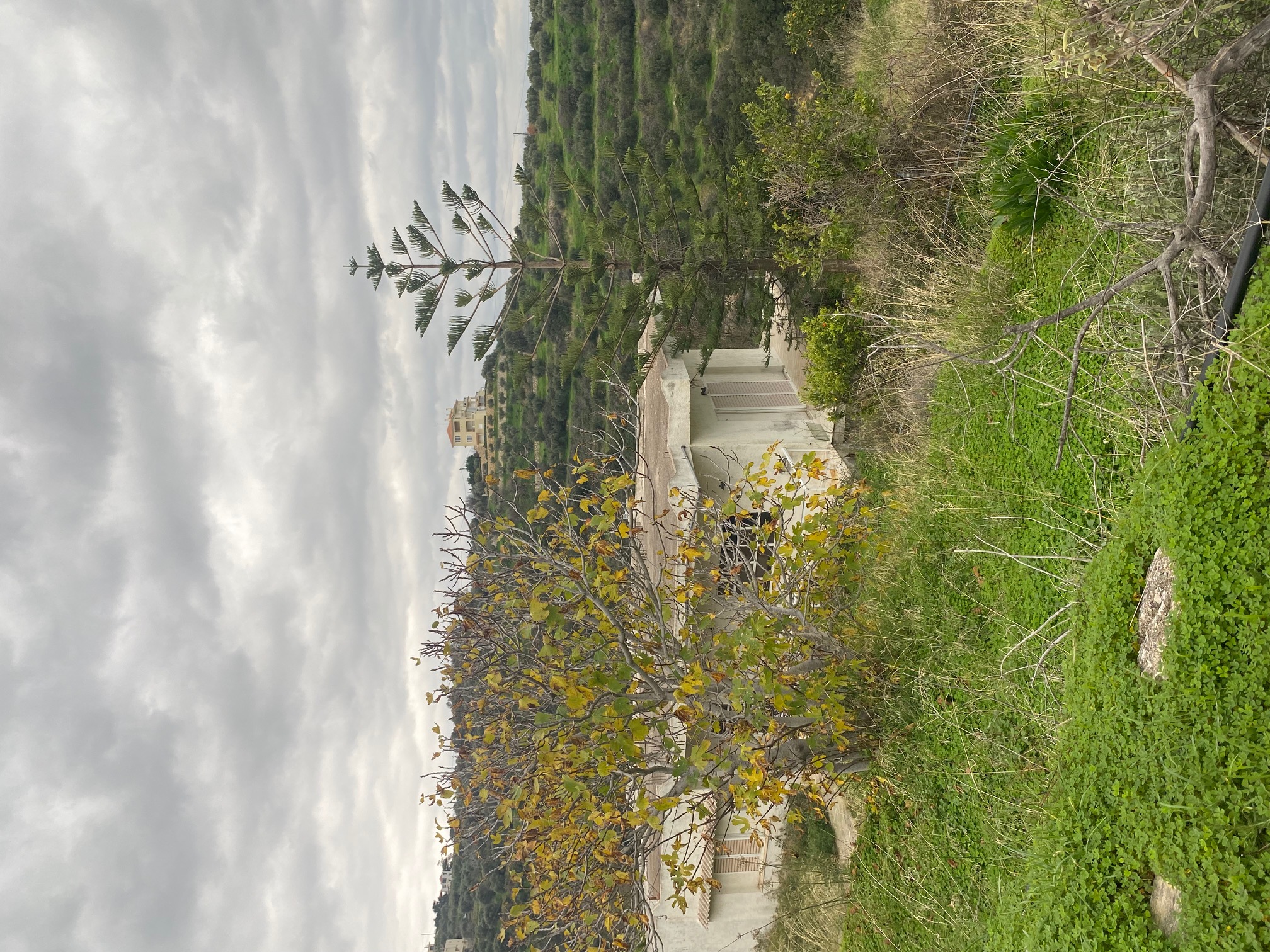 photo2
