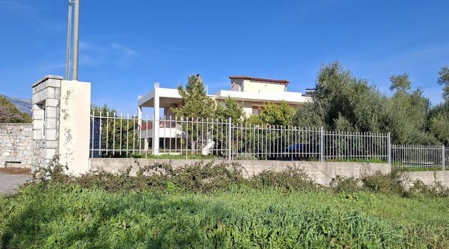 photo1