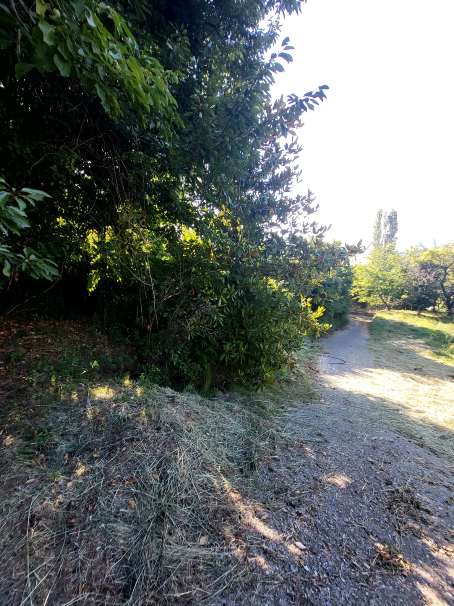 photo1