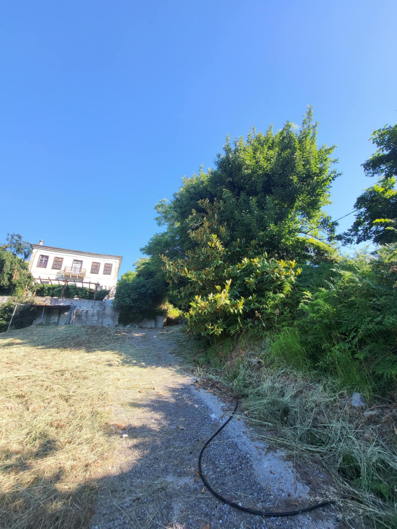 photo2