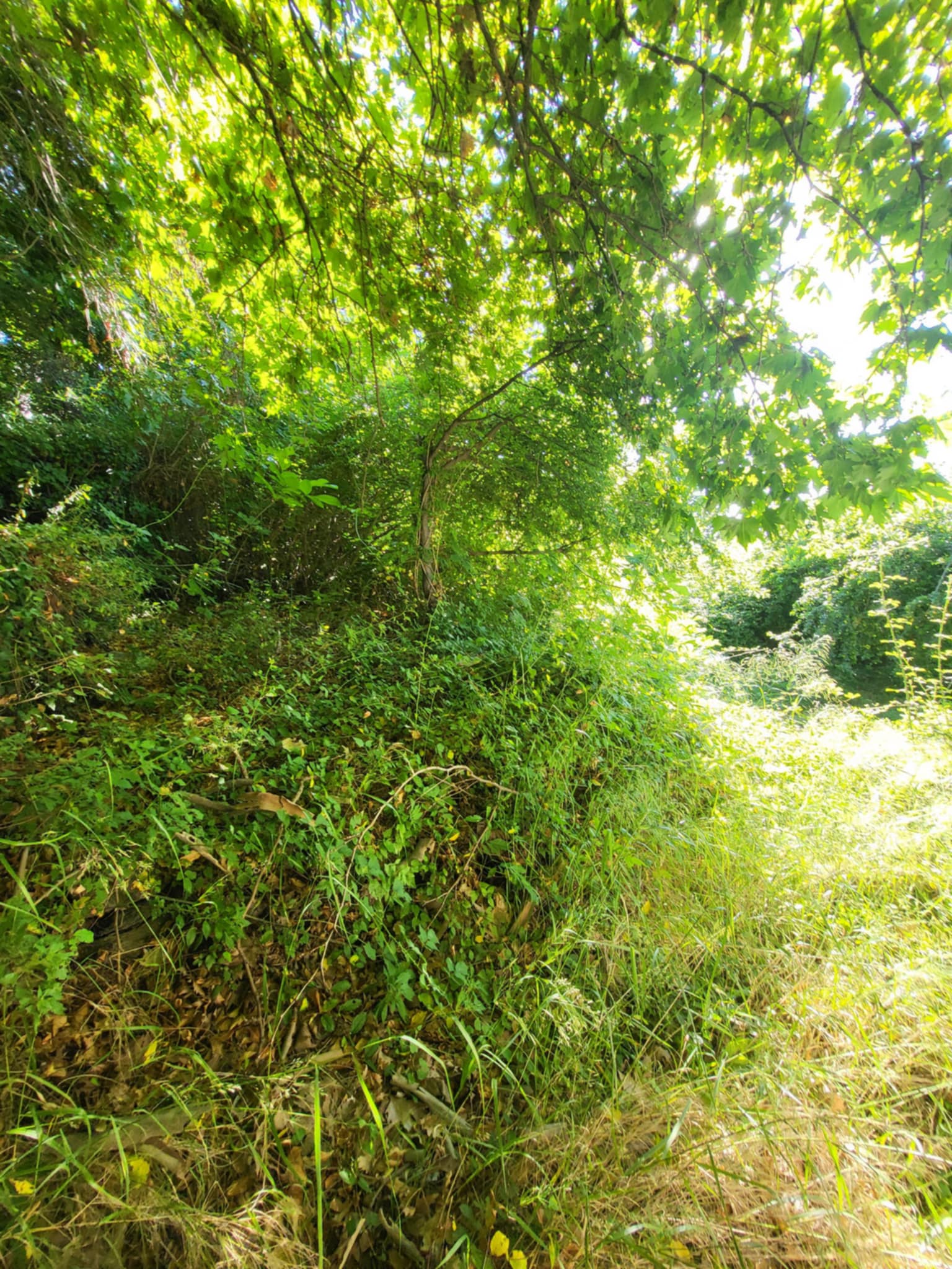 photo8